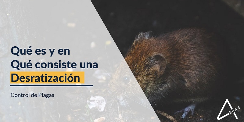 que es una desratizacion